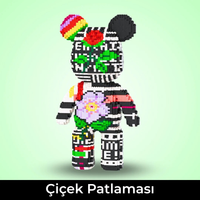Çiçek patlaması